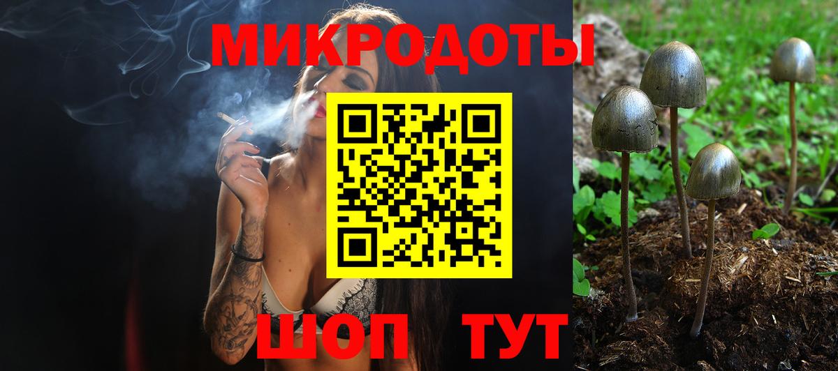 Галлюциногенные грибы Psilocybine cubensis  Вход с VPN  Новоалександровск  купить наркотики сайты  Галлюциногенные грибы GOLDEN TEACHER 